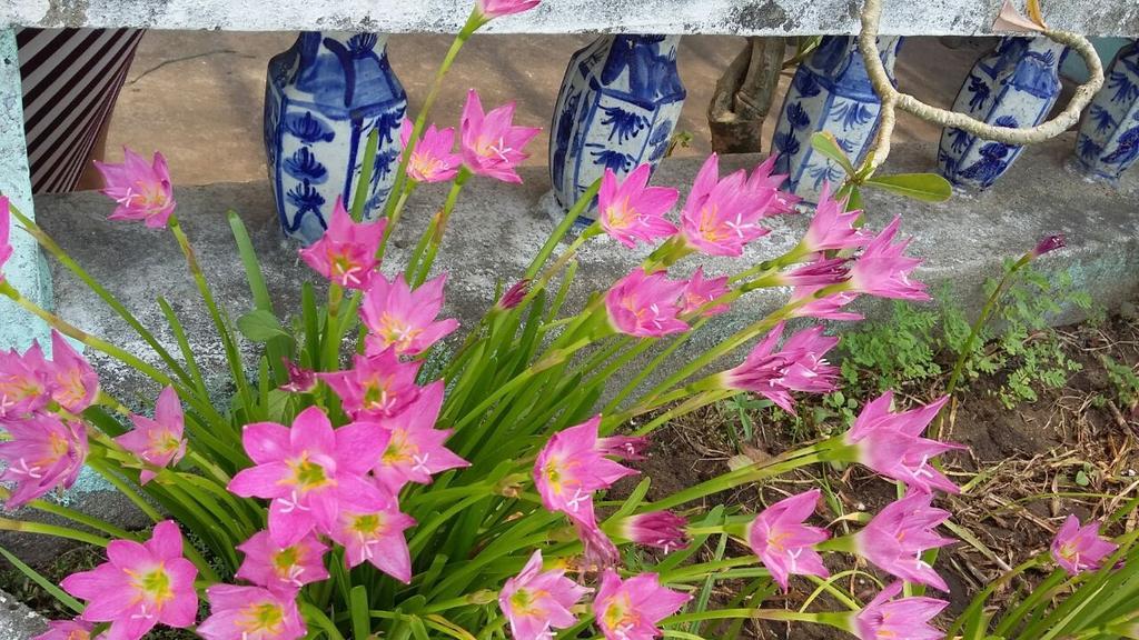 Center Homestay Hội An Buitenkant foto